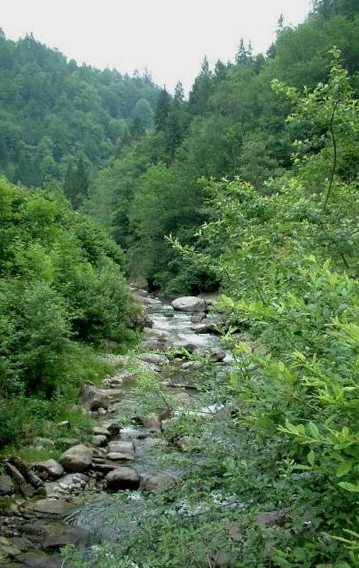 Un omaggio al lavoro dei Valtriumplini